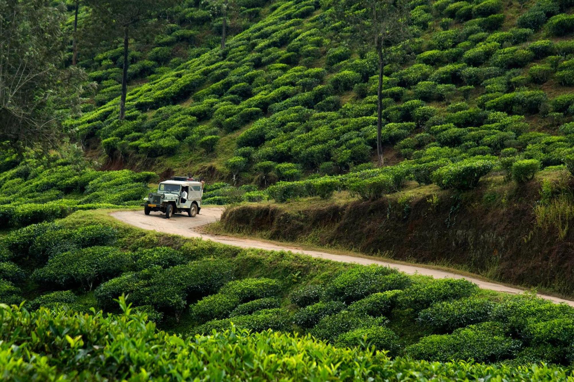 Cardamom County By Xandari Resort Thekkady