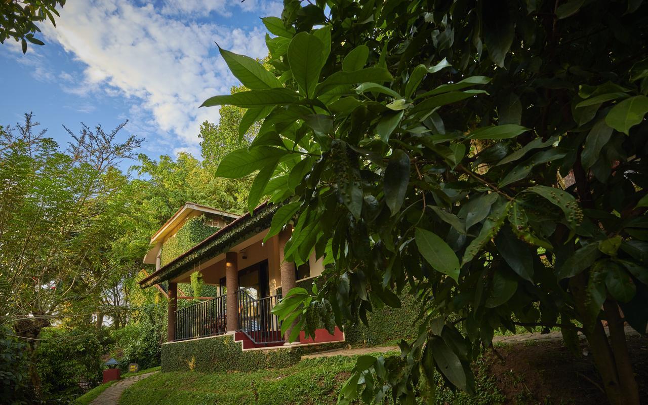 Cardamom County By Xandari Thekkady